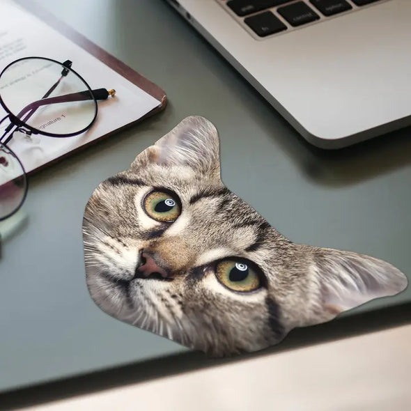 Cat Glasses Cloth