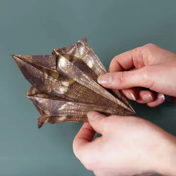 Paper Dinos Origami