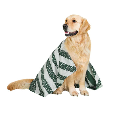Dog & Bay Quick Dry Towel - Bone Dry